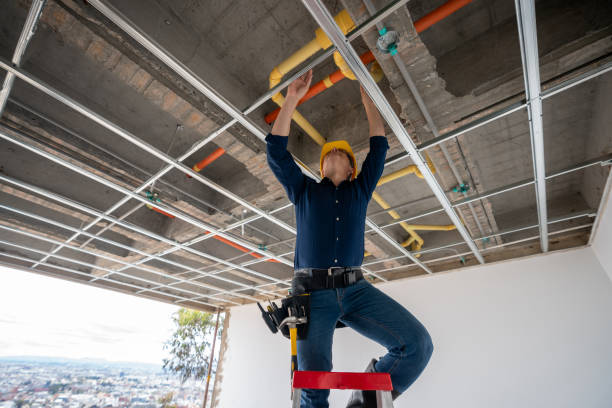 Best Commercial Plumbing Services  in Endwell, NY